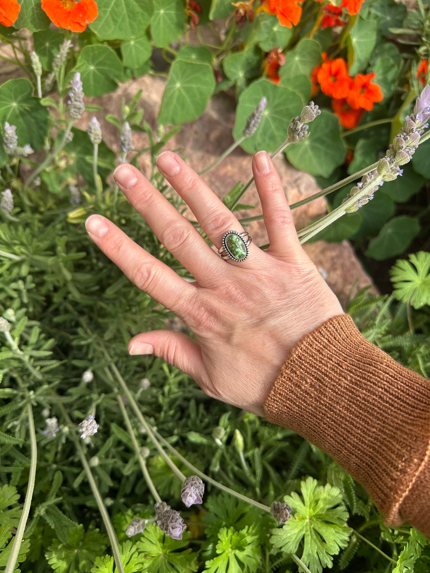 Double Band Sonoran Ring