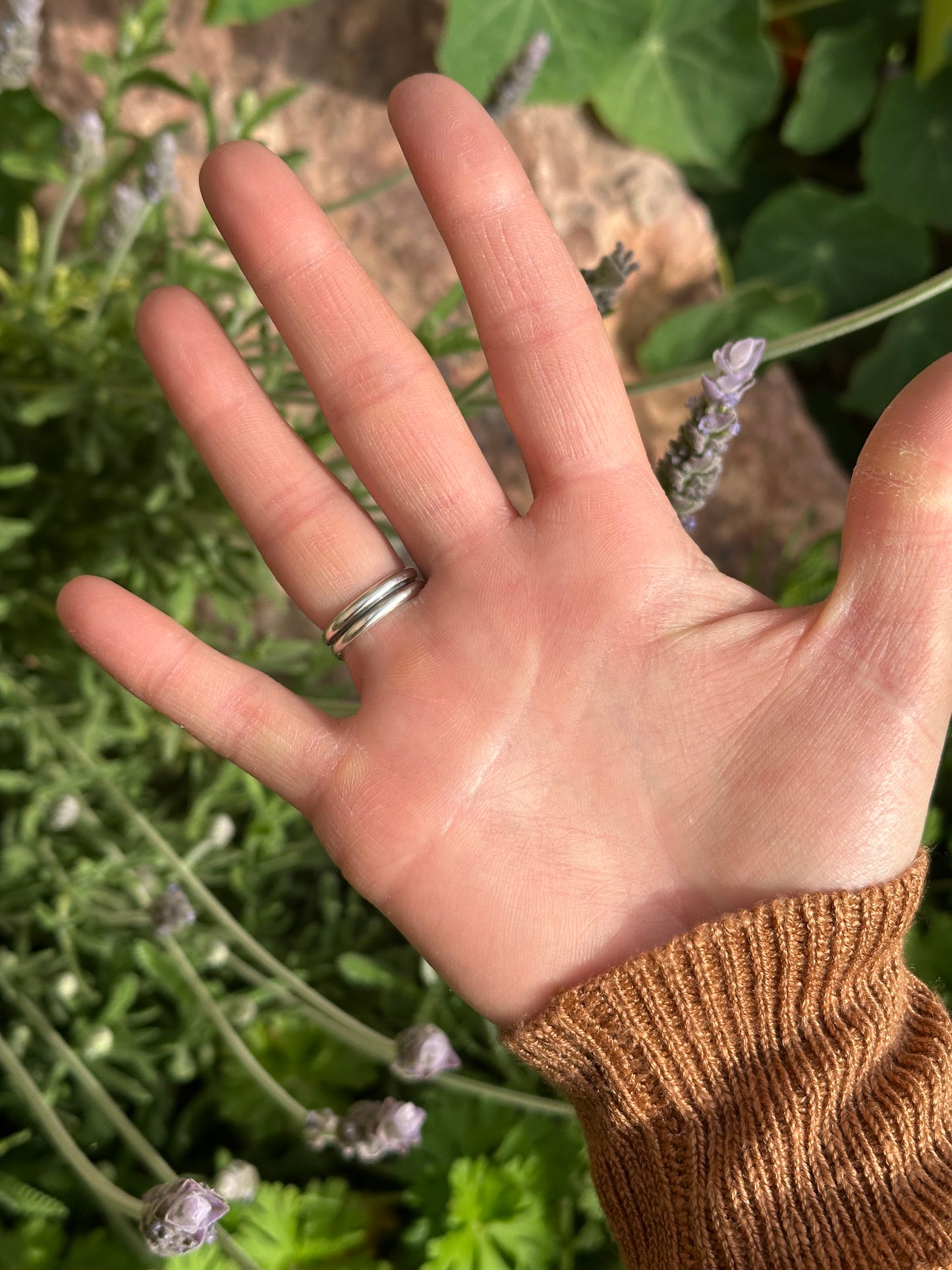 Sonoran Double Band Ring