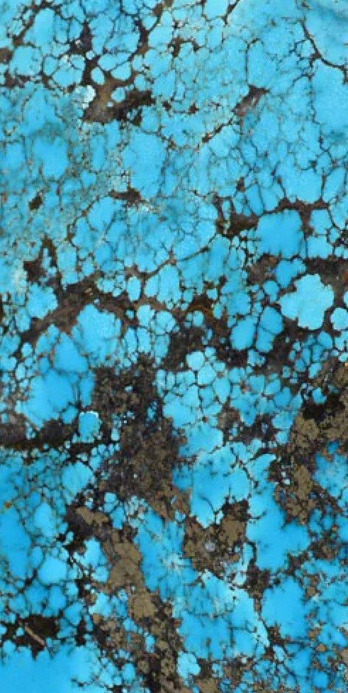 Kingman Turquoise