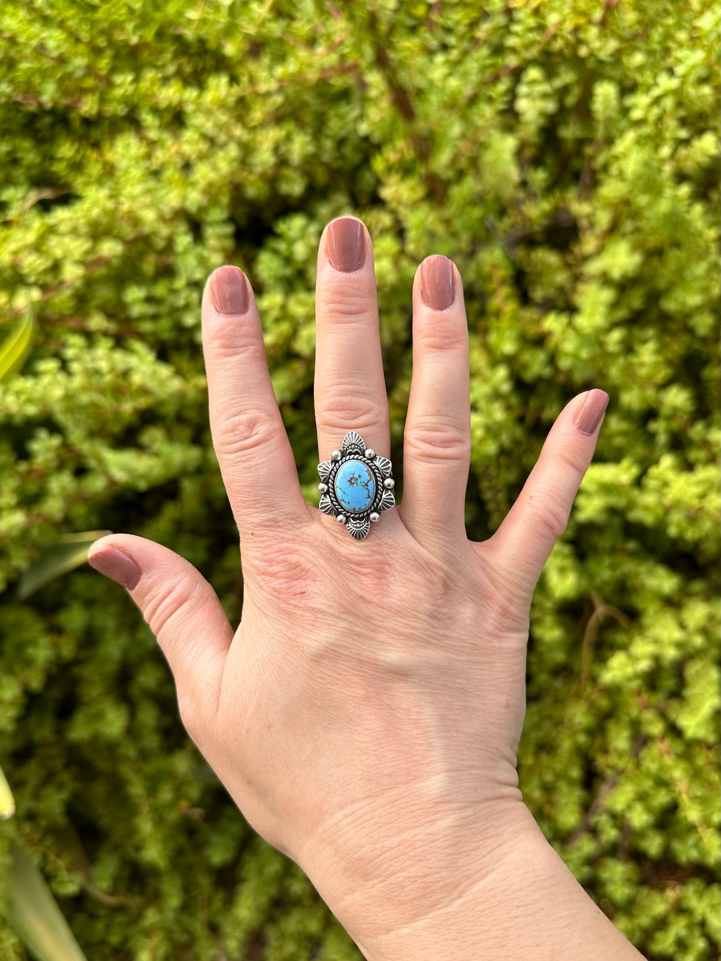 Golden Hill Turquoise Ring Size 8.5