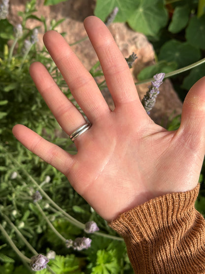 Sonoran Double Band Ring